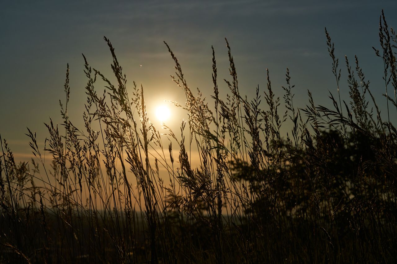Paysage Couché de soleil 0227